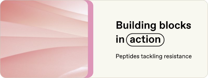 Building blocks in action: Peptides tackling resistance