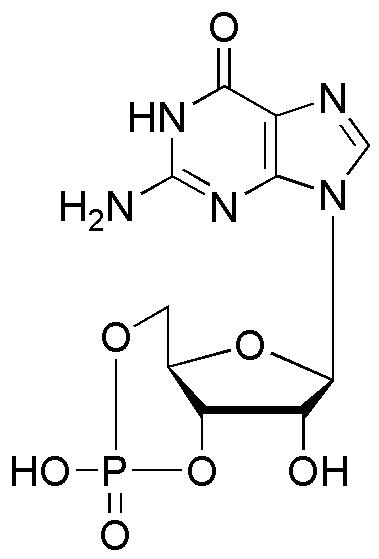Guanosine-3',5'-cyclic monophosphate