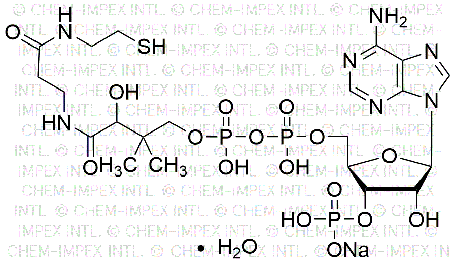 Sal sódica hidratada de coenzima A