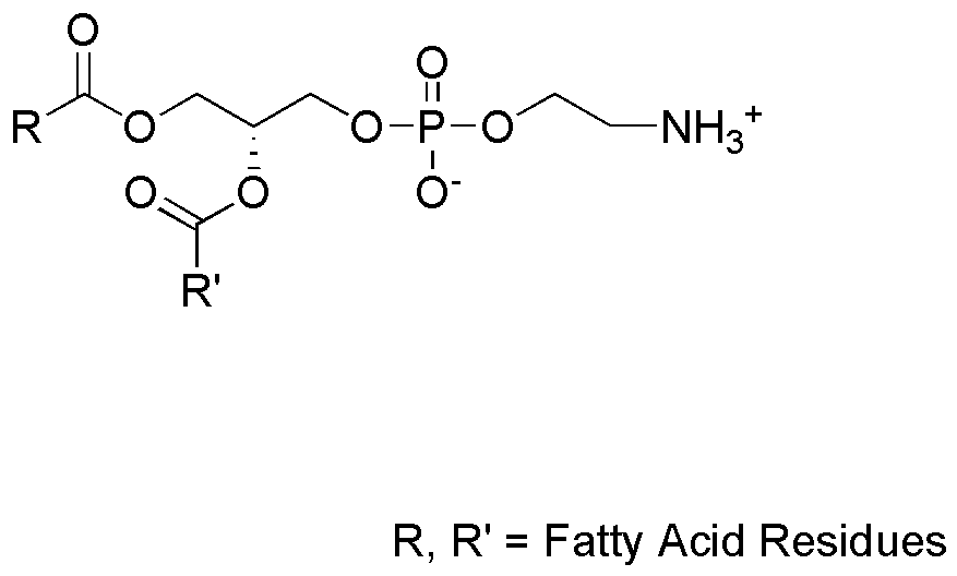 L-α-lisofosfatidiletanolamina (de soja)