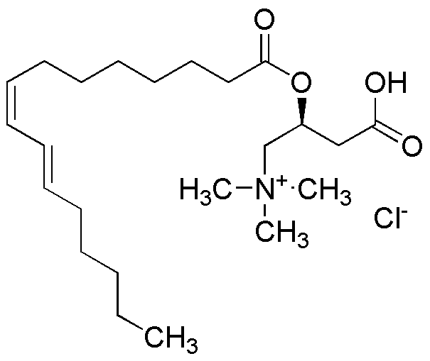 how to take l carnitine liquid for fat loss When To Take L Carnitine to Maximise Your Shredding and Beyond – BSc  Supplements