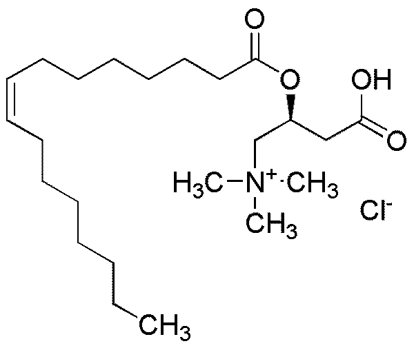 oleoyl-l-carnitine Oleoyl-L-carnitine chloride – Chem-Impex