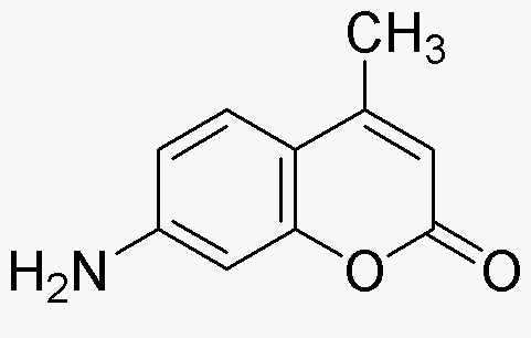 7-Amino-4-methylcoumarin
