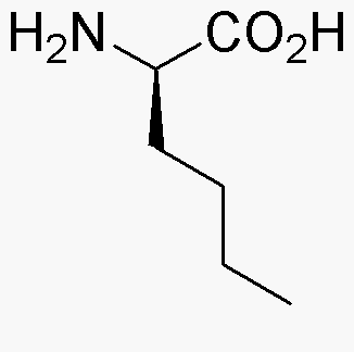 D-Norleucine