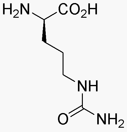 D-Citrulline – Chem-Impex