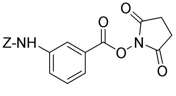 Z-3-aminobenzoic acid N-hydroxysuccinimide ester