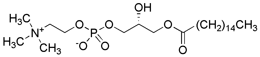 1-Palmitoyl-sn-glycero-3-phosphocholine