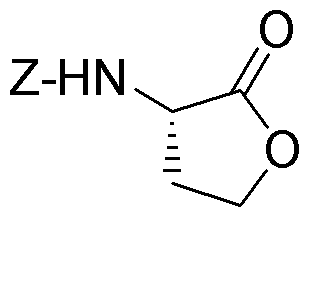 Lactona de homoserina ZL