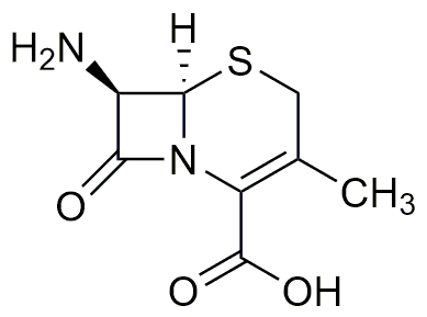 Acide 7-aminodésacétoxycéphalosporanique