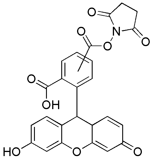 Succinimidyl-5(6)-carboxyfluorescein