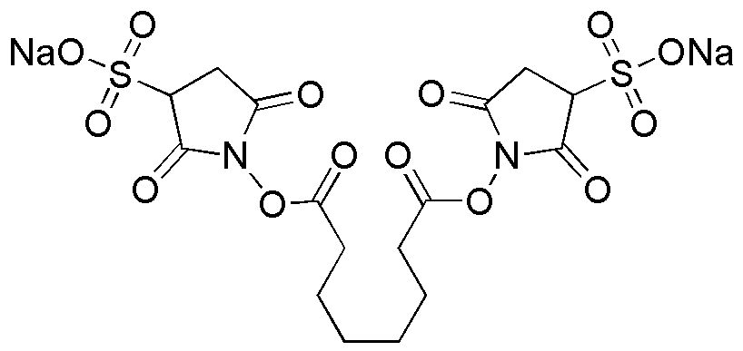bis-sulfo-succinimidyl suberate