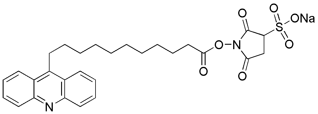 9-Acridinil-undecanoato de sulfosuccinimidilo