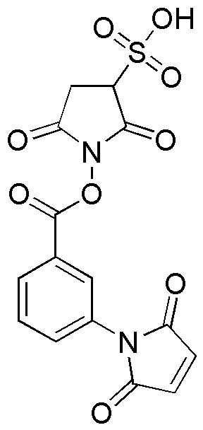 Sulfo-MBS-1