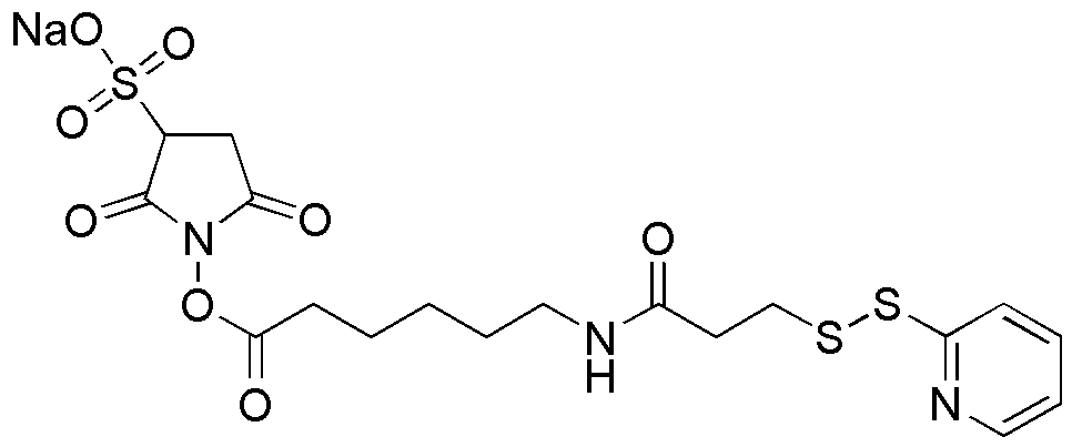 Sulfosuccinimidyl 6-[3-(2-pyridyldithio)propionamido]hexanoate