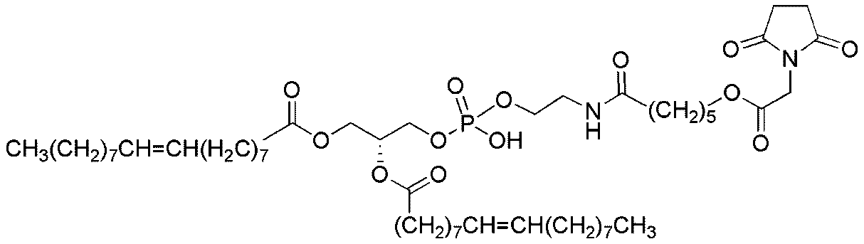 1,2-Dioleoyl-sn-glycero-3-phosphorylethanolamino NHS-suberate