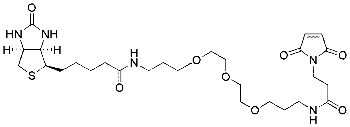 13-[D(+)-Biotinylamino]-1-(3-maleimidopropylamino)-4,7,10-trioxatridecane