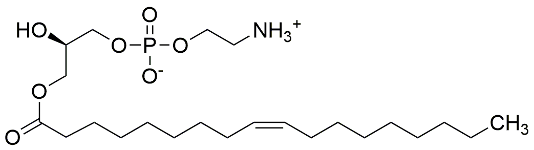 Phosphatidylethanolamine Structure