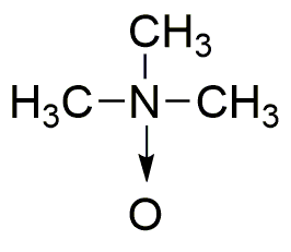 Trimethylamine N-oxide