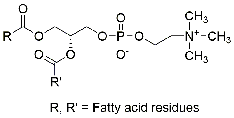 Solución de L-α-fosfatidilcolina