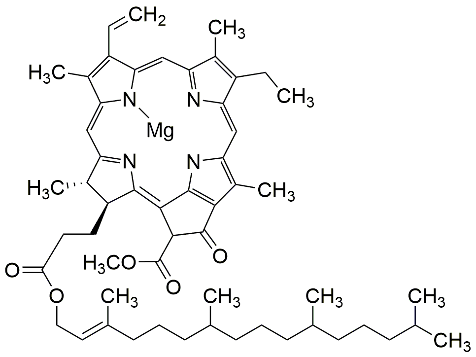 Chlorophylle a
