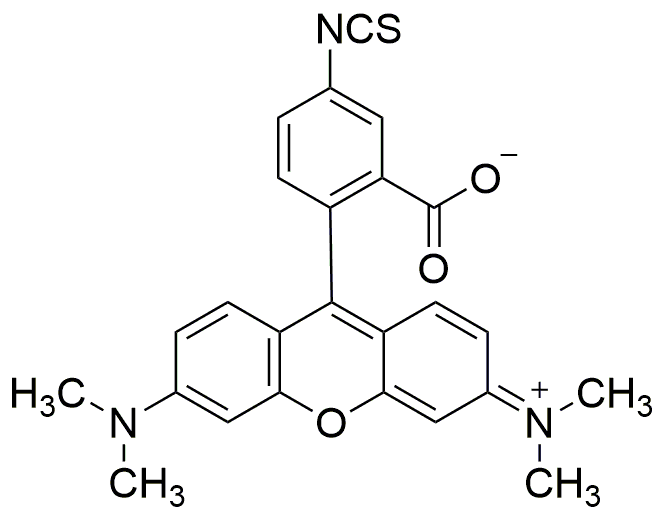 Tétraméthylrhodamine-5-isothiocyanate