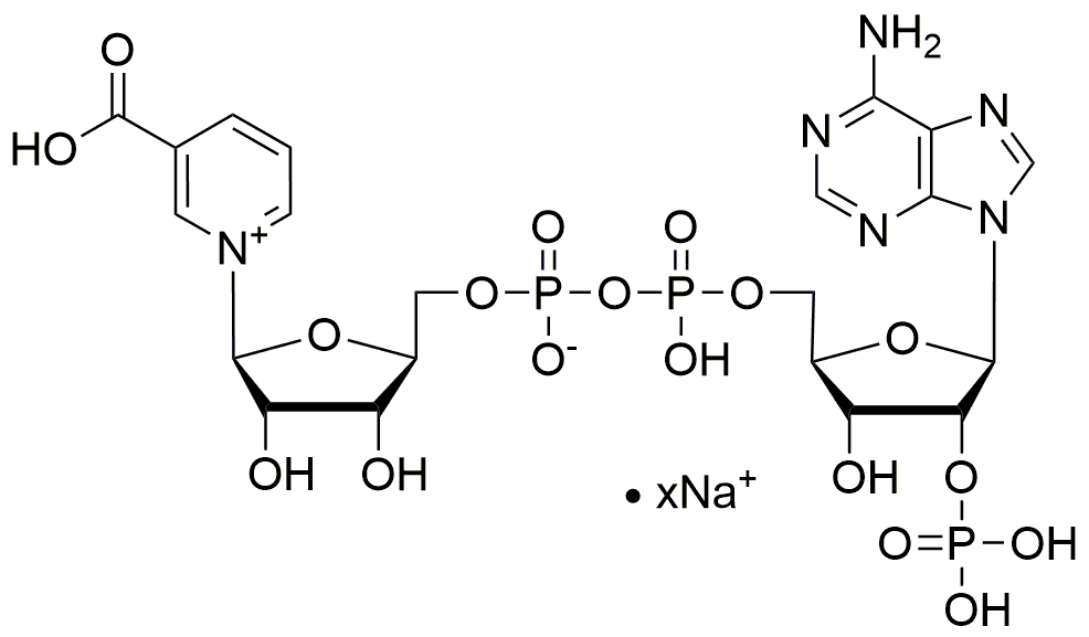 Acide nicotinique, sel de sodium de phosphate d'adénine dinucléotide