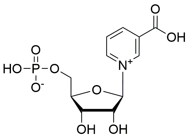 Mononucléotide d'acide nicotinique, animal