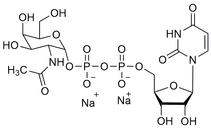 Uridine-5'-diphospho-N-acétylglucosamine, sel de sodium