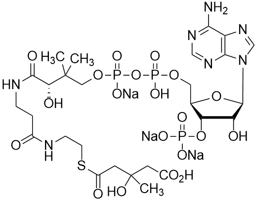 DL-3-Hydroxy-3-methylglutaryl coenzyme A sodium salt