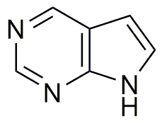 7-Deazapurine