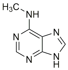 N-méthyl-7H-purine-6-amine