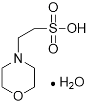 MES Monohydrate for molecular biology