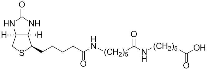 Biotin-LC-LC