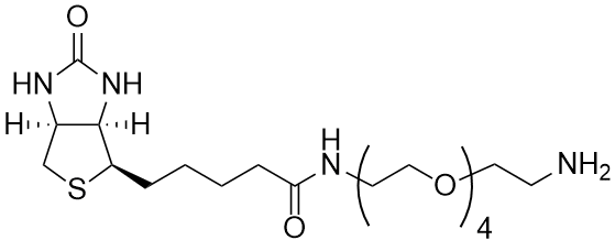 Biotin-PEG4-amine