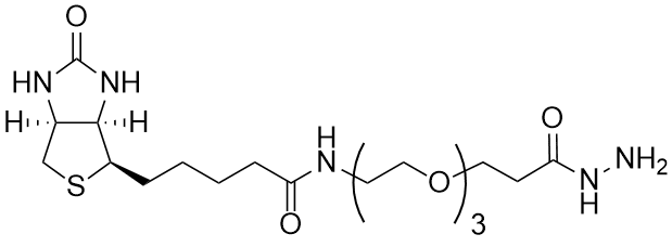 Biotin-PEG3-hydrazide