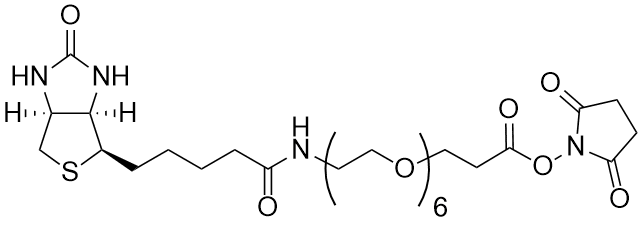 Biotin-PEG6-NHS ester