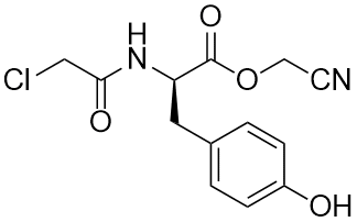 Chloroacetyl-D-tyrosine cyanomethyl ester