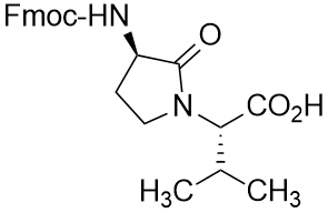 Fmoc-D-Freidinger's lactam (Gly-L-Val)