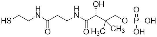 4&rsquo;-Phosphopantetheine, Free acid