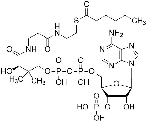 Hexanoyl coenzyme A, Free acid