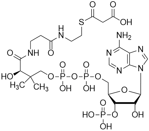 Malonyl coenzyme A, Free Acid
