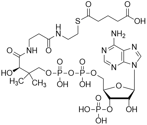Glutaryl coenzyme A, Free acid