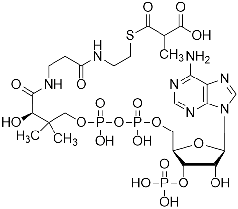 Methylmalonyl coenzyme A, Free acid